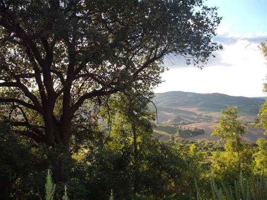 Agriturismo Biagi