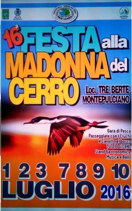 16th Festival to the Madonna del Cerro