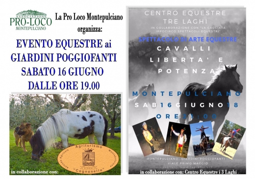 Evento Equestre ai Giardini Poggiofanti