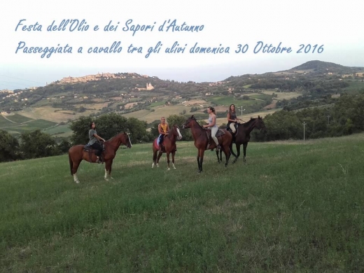 Passeggiata a cavallo tra gli ulivi - FESTA DELL&#039;OLIO E DEI SAPORI D&#039;AUTUNNO 2016