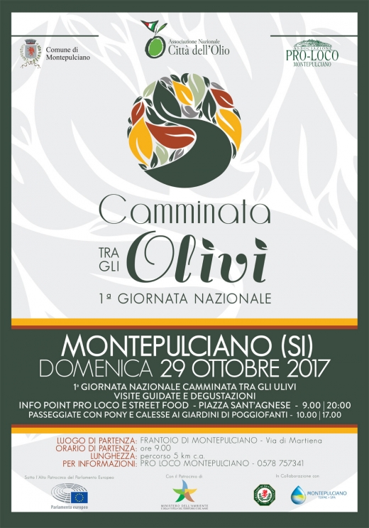 1° GIORNATA NAZIONALE “CAMMINATA TRA GLI OLIVI”